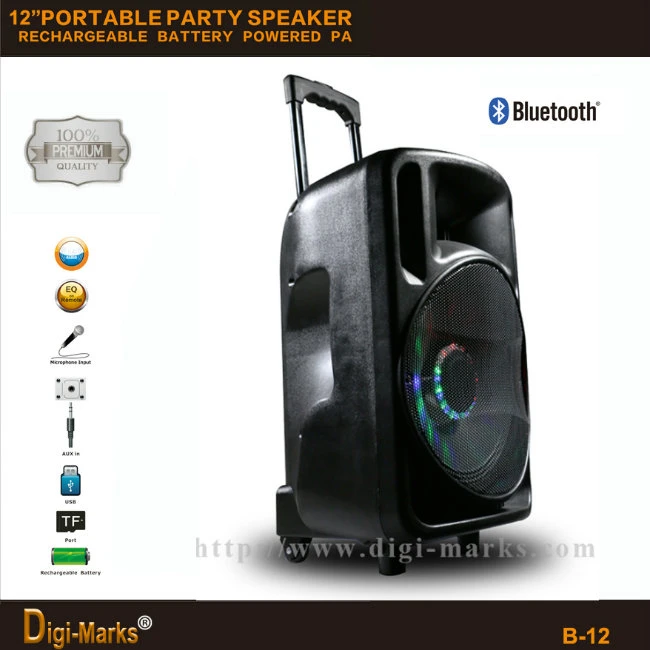 New 12′′ Popular Bluetooth Wireless MP3 FM/USB/SD/TF Mini Speaker