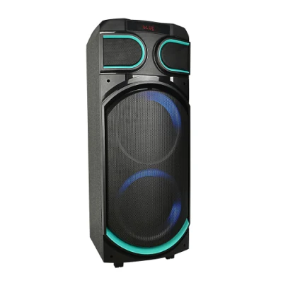 Temeisheng Dual 8 Zoll Big Bass Woofer Outdoor Party Bluetooth Lautsprecher